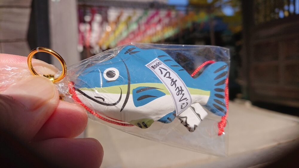 白鳥神社のはまちおみくじのアップ画像