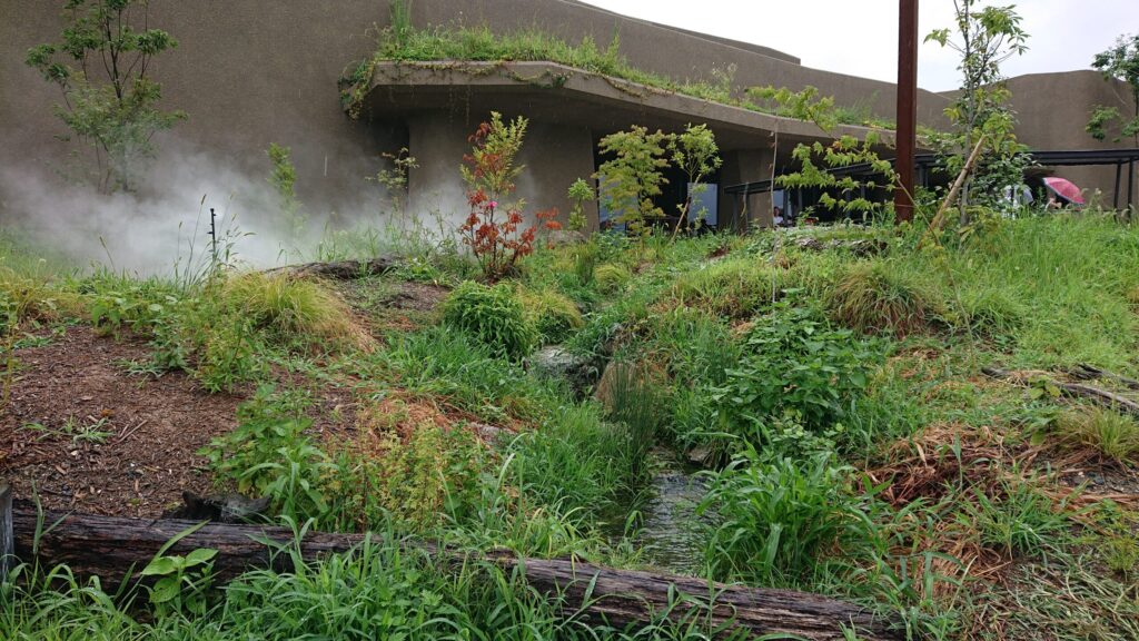 敷地内庭園から店舗をのぞう