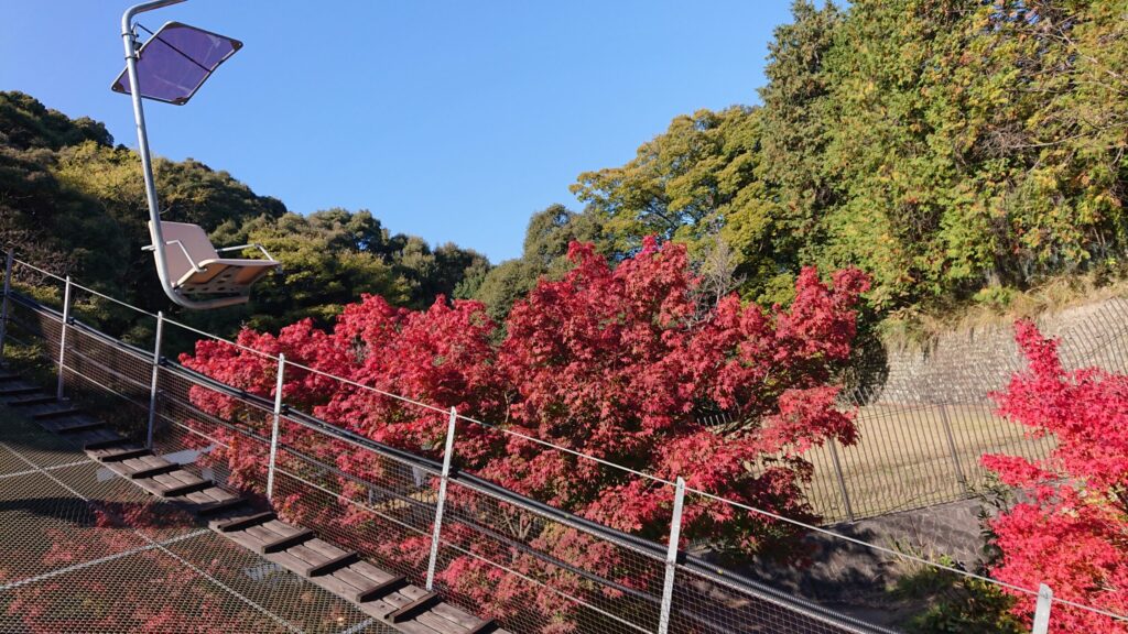 リフトのすぐ近くに広がる紅葉
