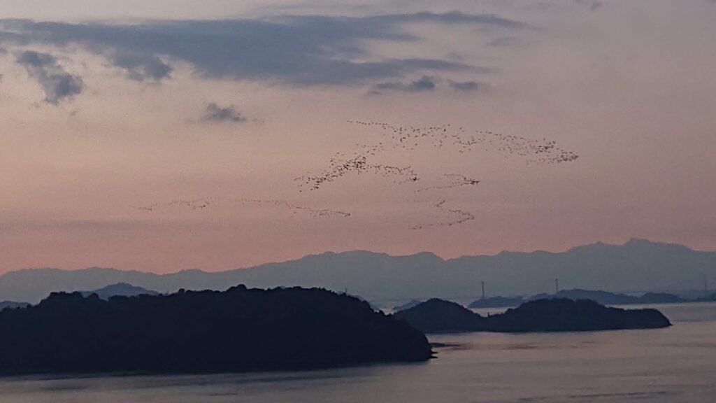 朝焼けの島々と鳥の群れ