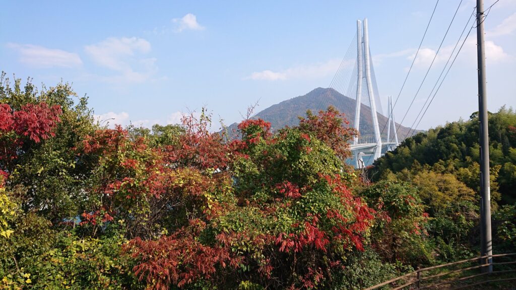 紅葉の合間から見える多々羅大橋