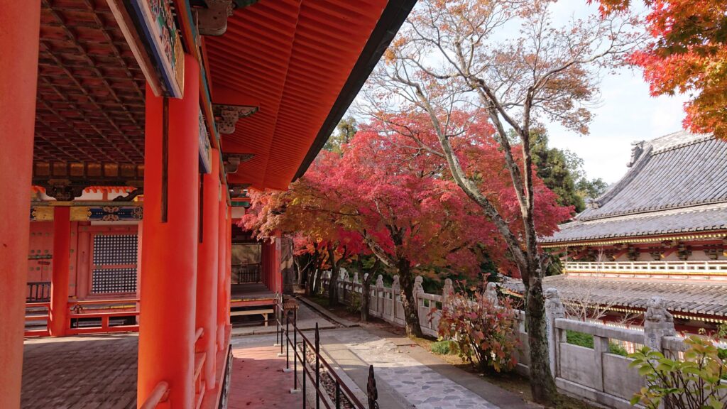 朱色の回廊と紅葉