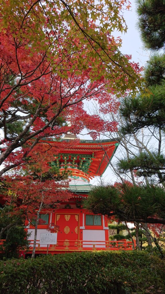紅葉越しの多宝塔