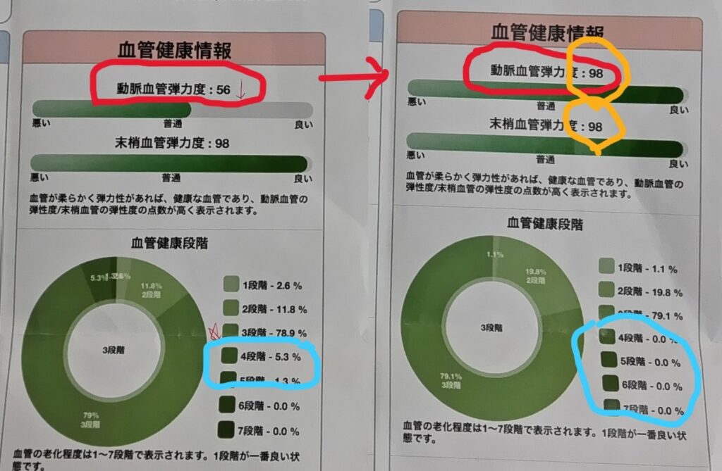 実際の血管健康検査結果用紙から２回の数値推移