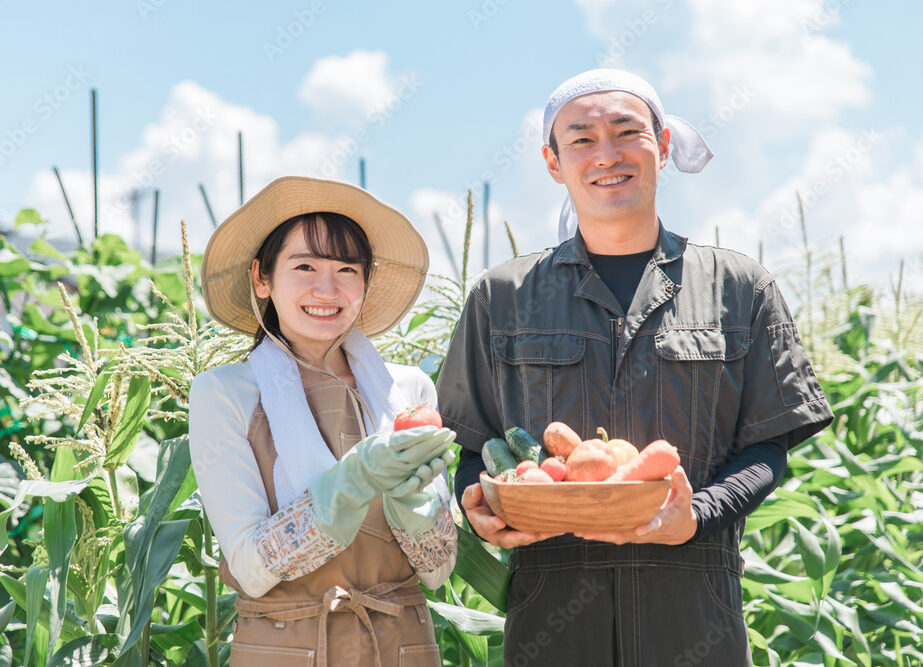 野菜を収穫して笑顔の若い夫婦